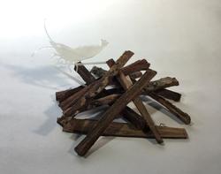 Tantora Catappa Bark