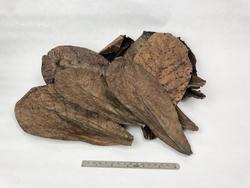 ElevateShrimp Catappa 10-pack (+ 2 mini & 2 large leaf rings)