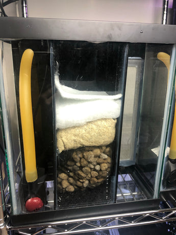 All-in-One High Capacity Pro Breeder  - Aqueon Conversion System